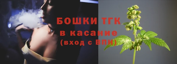 дживик Осташков