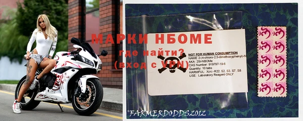 дживик Осташков