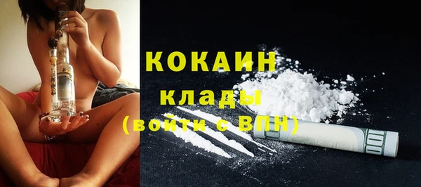 дживик Осташков