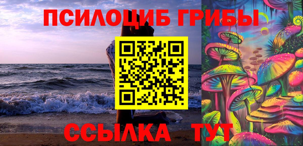 Псилоцибиновые грибы Psilocybine cubensis  Вход с VPN  Псилоцибиновые грибы Psilocybine cubensis  Советский 