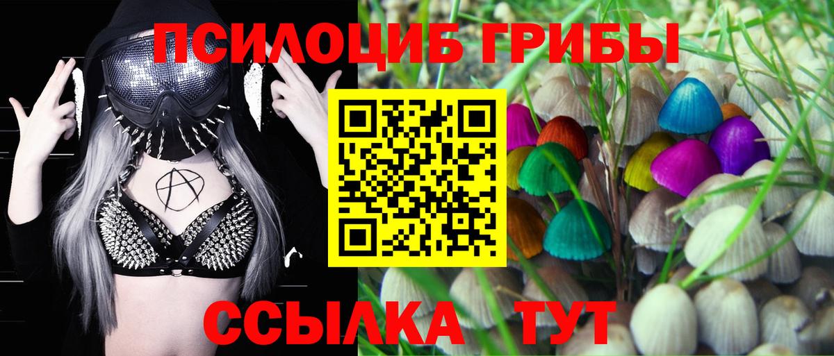 Псилоцибиновые грибы MAGIC MUSHROOMS  наркота  Советский  Псилоцибиновые грибы Psilocybe 