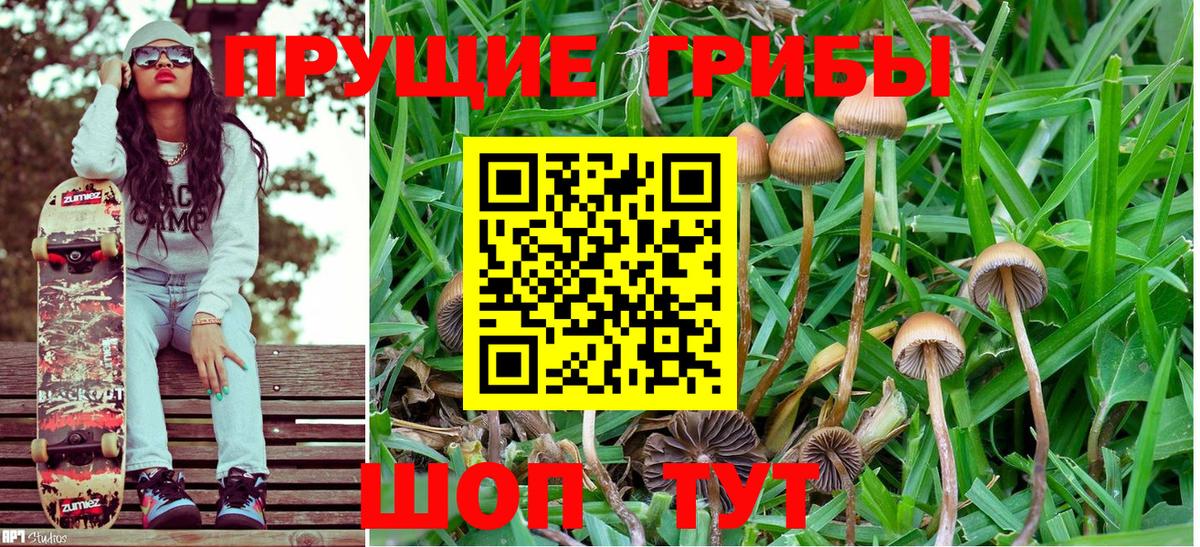 МДМА  МАРИХУАНА  Где купить наркотики?  Гашиш  Alpha PVP  Советский  ГАШИШ  CBD масло  Мяу-Мяу  COCAIN  Вход с VPN  Мефедрон  Метамфетамин 