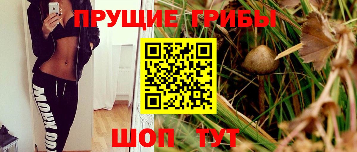ГАШ  Каннабис  Купить наркотик  COCAIN  Меф МЯУ МЯУ  NBOMe  А ПВП СК кристаллы  Амфетамин кристаллы  МЕФ   Советский  Вход с VPN 